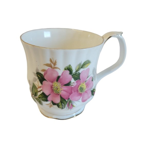Royal Albert Dining Royal Albert Prairie Rose Bone China Tea Coffee